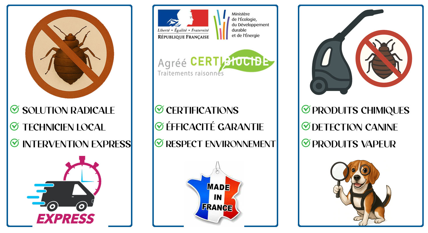 Punaises de Lit Eaubonne