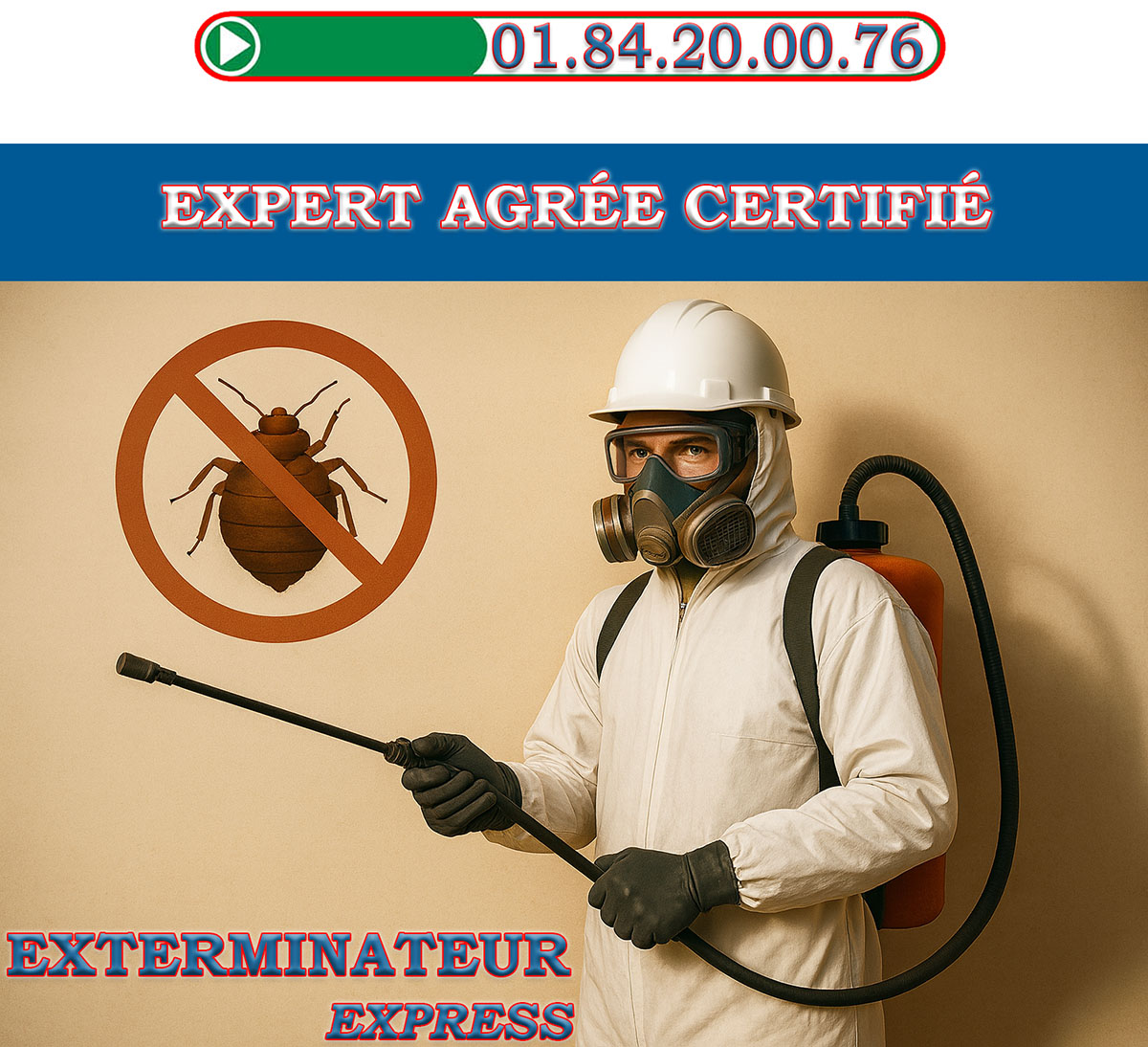 Punaises de Lit Eaubonne